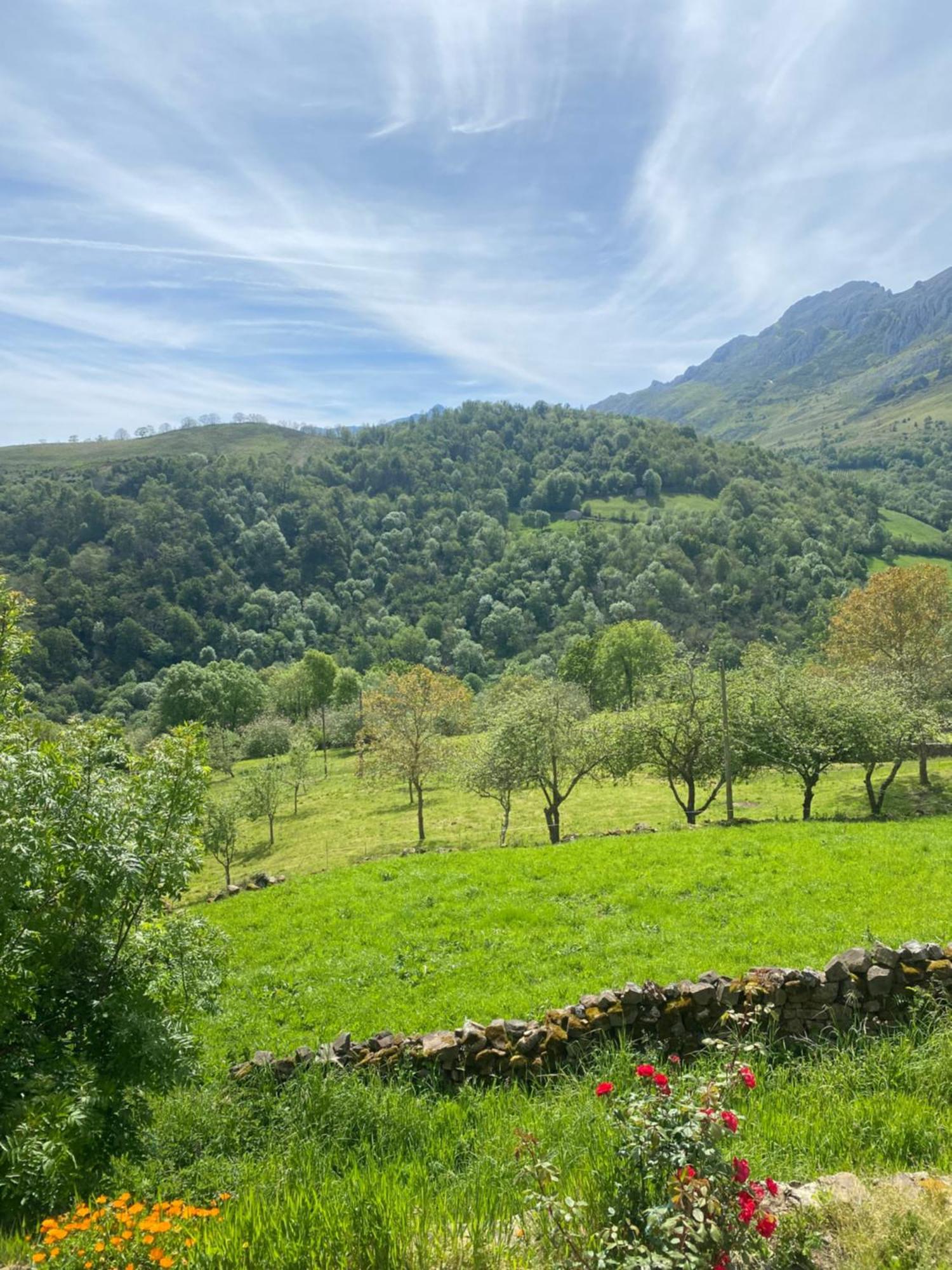Appartamento Triana Berodia Esterno foto